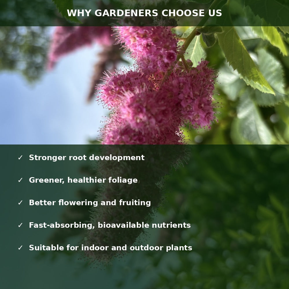 Pink spirea flower with checklist of Northern Algae benefits: stronger roots, greener foliage, better flowering