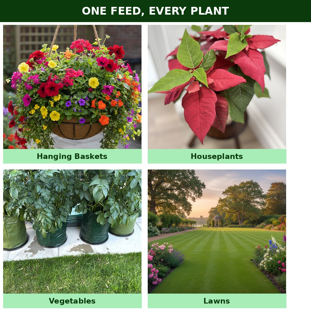 Four garden uses for Northern Algae: hanging baskets, houseplants, vegetables, and lawns and borders